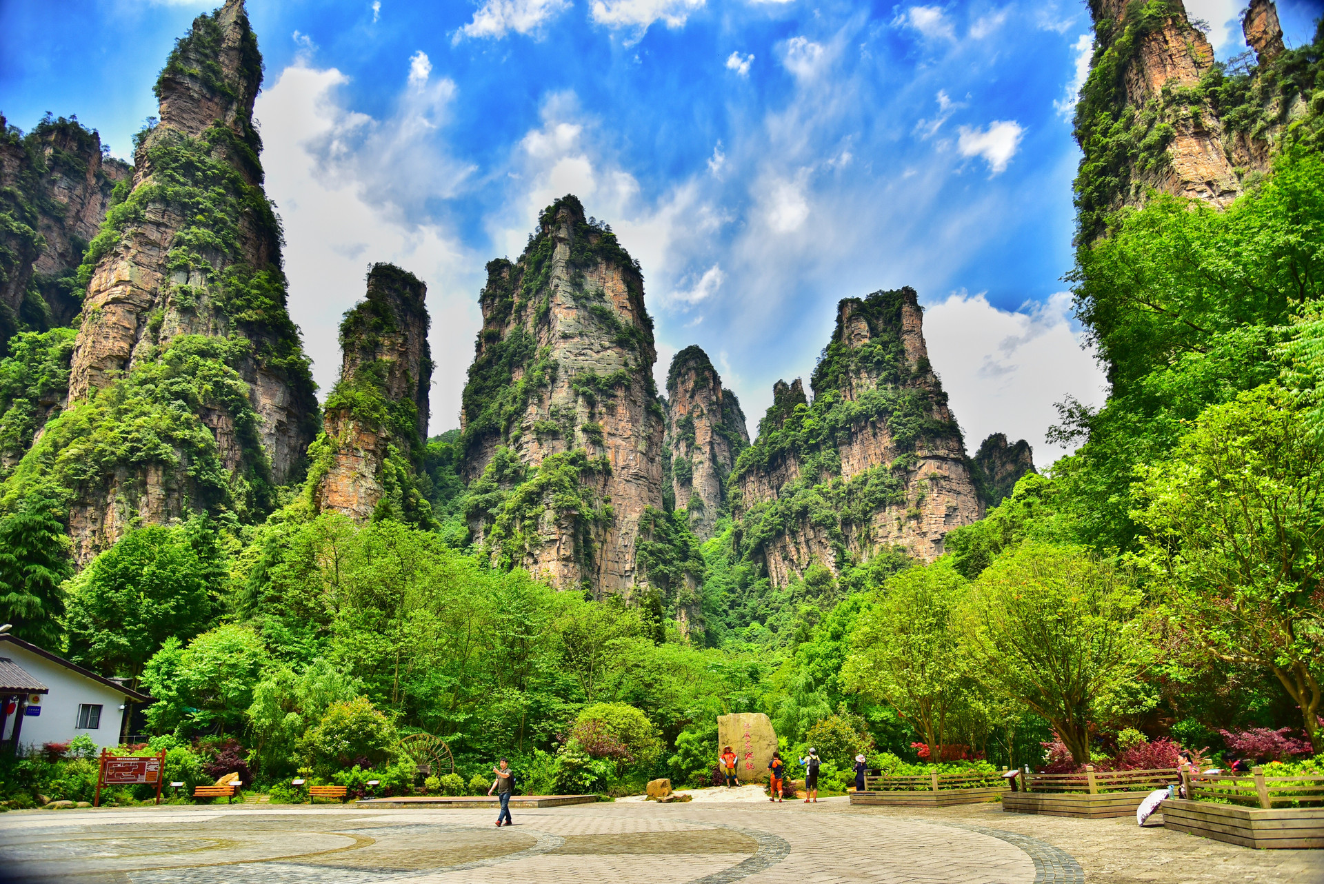 摄图网_500392566_banner_张家界国家森林公园（非企业商用）.jpg