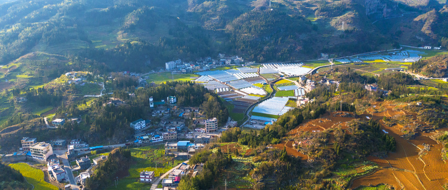 摄图网_501571567_wx_航拍村寨（非企业商用）.jpg