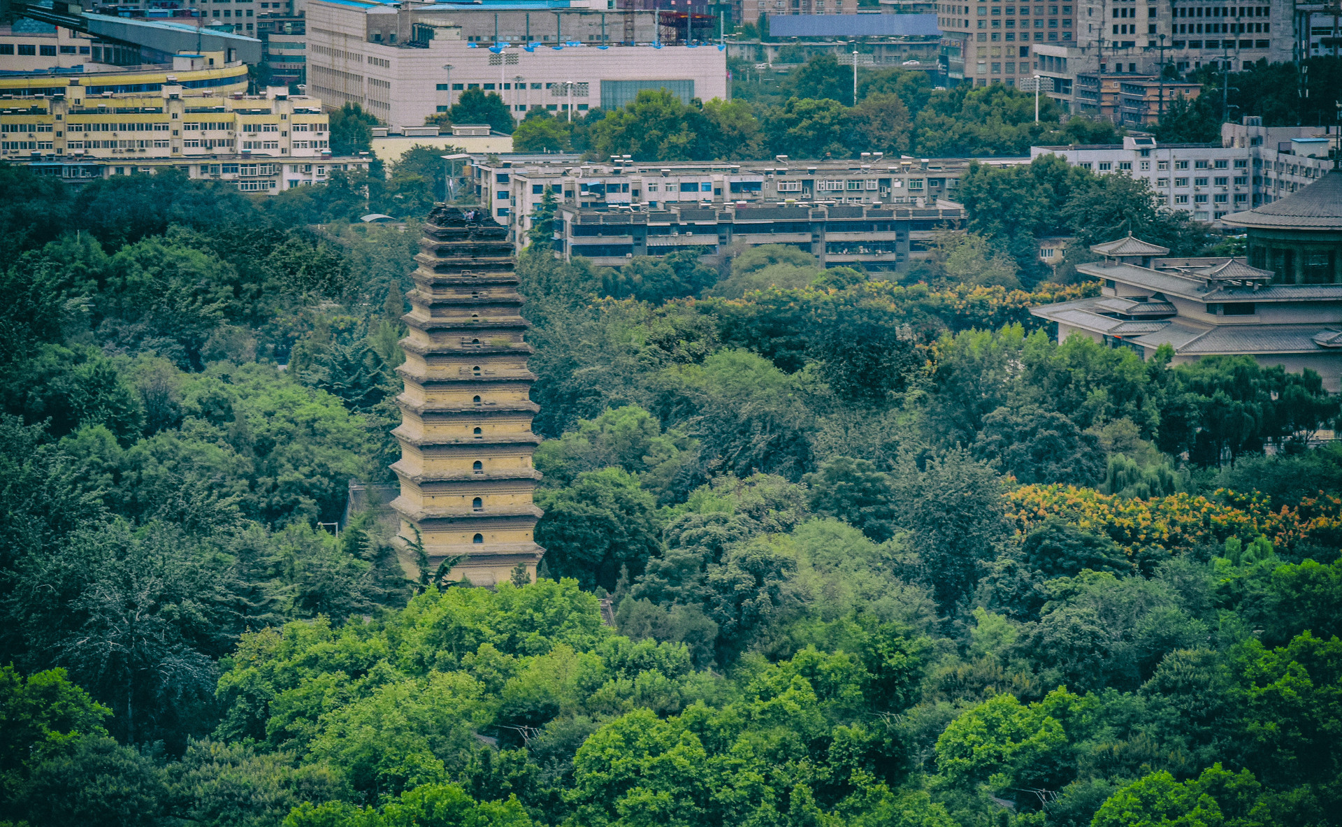 摄图网_500265193_banner_盛夏里的西安小雁塔远眺（非企业商用）.jpg