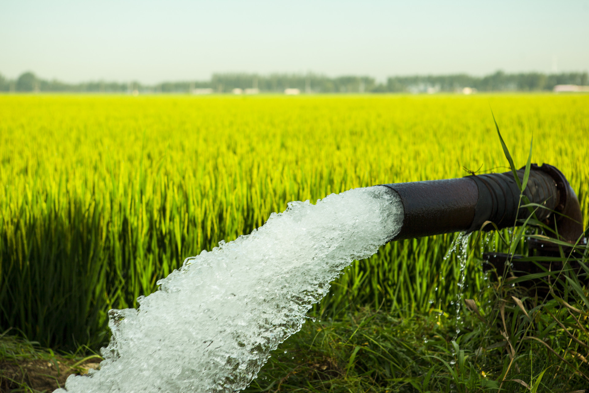 沈阳市水资源约束下的农业生产灌溉承载力评价与相关保障建议