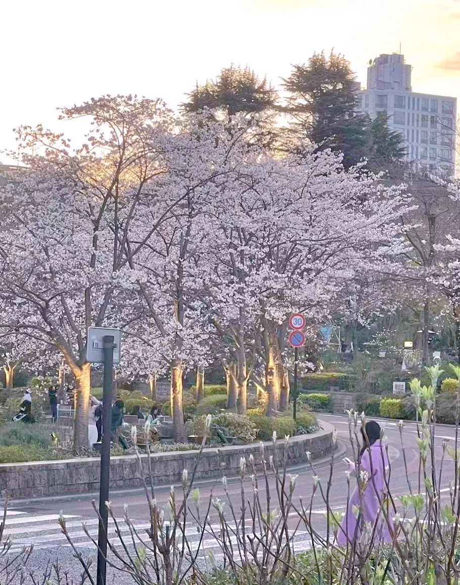 微信图片_20230322090920.jpg