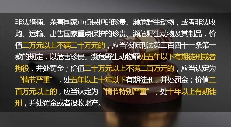 微信图片_20230525130709.jpg